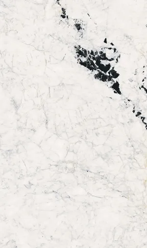 K01388940YSM